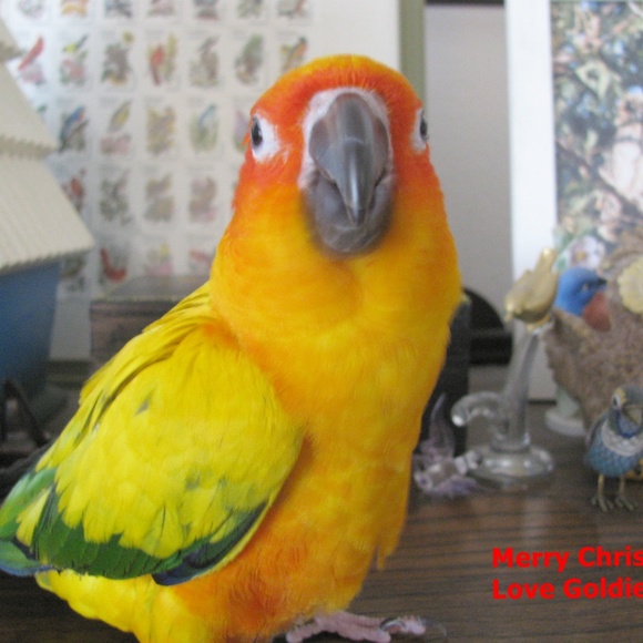 Meet your Posher, Shelley - Picture 6 of 8